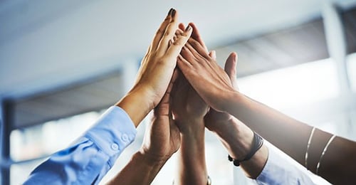 nonprofit good governance with board policy