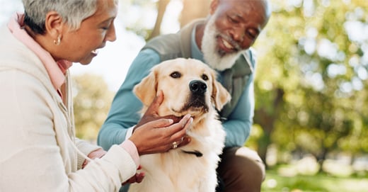 Planning for Your Pets in Your Estate Plan