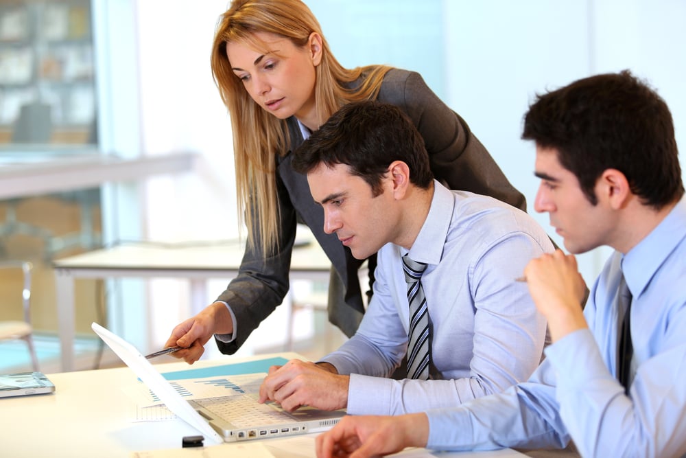 Business team working together on project