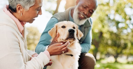 pet estate planning
