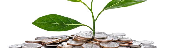 Financial sustainability and your nonprofit