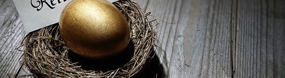 retirement golden egg in nest