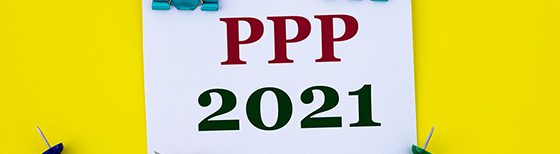 PPP 2021 graphic