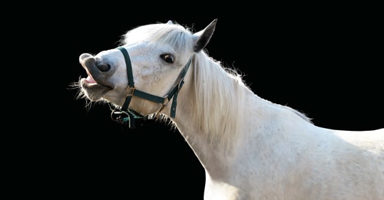 A policy can help nonprofits look “gift horses” in the mouth