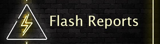 Flash reports: Real-time financial reporting