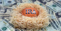 IRA egg in nest