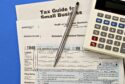 tax guide for small businesses